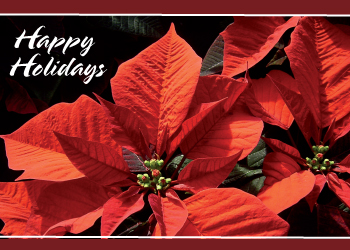 Greeting Card 2
